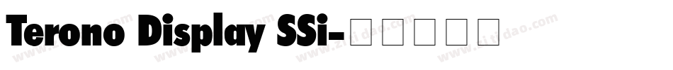 Terono Display SSi字体转换